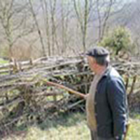 La haie vive au pays basque / La zeraliüa
