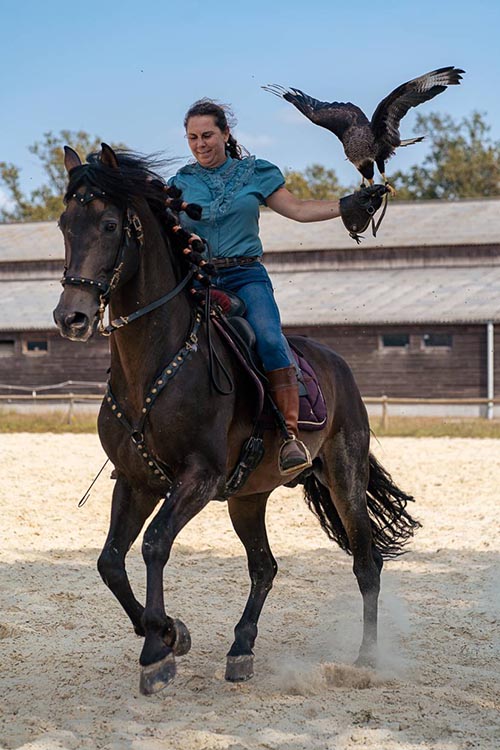 Fauconnerie à cheval
