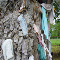 Source et chêne de Saint Méen