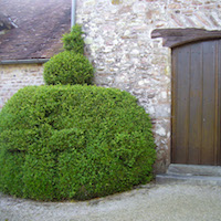 Prieuré Saint Ortaire