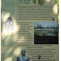 Patrimoine végétal de Bayeux