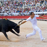 Course camarguaise