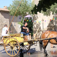 Bague en boghei