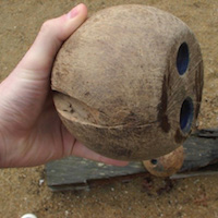 Boule oudonnaise
