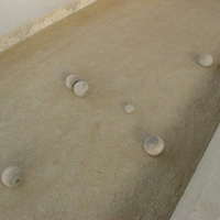 Boule du vignoble nantais
