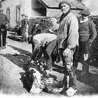 Les savoir-faire vanniers en Bretagne : les sklisseneù
