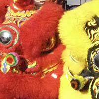La danse du lion asiatique en Île-de-France