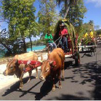 Carnaval de Marie-Galante