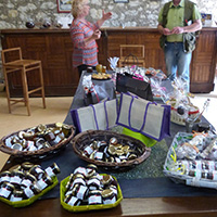 La culture du raisin chasselas de Moissac