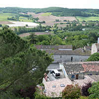La culture du raisin chasselas de Moissac