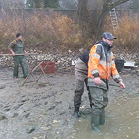 La pêche des poissons d’eau douce dans les étangs de la Dombes