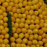 La fête du Citron de Menton