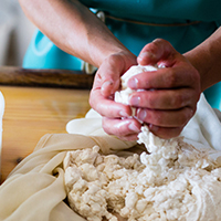Les pratiques d’élevage caprin et les savoirs fromagers au lait de chèvre dans le massif des Bauges
