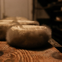 Les pratiques d’élevage caprin et les savoirs fromagers au lait de chèvre dans le massif des Bauges