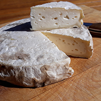 Les pratiques d’élevage caprin et les savoirs fromagers au lait de chèvre dans le massif des Bauges