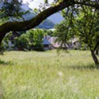 L’art de la rissole, ou r’zoule, dans le massif des Bauges