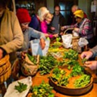 Les savoirs de la cueillette dans le massif des Bauges