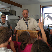 Les savoirs de l’apiculture dans le massif des Bauges