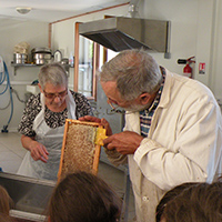 Les savoirs de l’apiculture dans le massif des Bauges