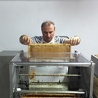 Les savoirs de l’apiculture dans le massif des Bauges