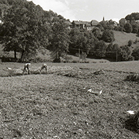 Les savoirs du jardin potager dans le massif des Bauges