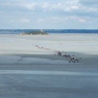 Les pratiques d’itinérance et de pérégrination au Mont Saint-Michel