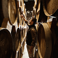 Les savoir-faire de l’élaboration du cognac
