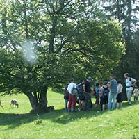 Les pratiques et savoir-faire de la transhumance en France