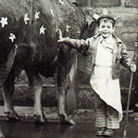 La tradition des boeufs gras à Bayonne