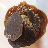 La culture de la truffe noire du Quercy à Lalbenque