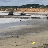 La culture des moules de bouchot à Pénestin