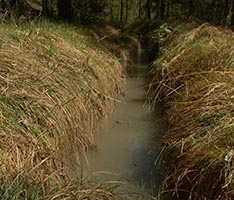 Les pratiques d'irrigation gravitaire du Briançonnais