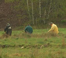 Les pratiques d'irrigation gravitaire du Briançonnais