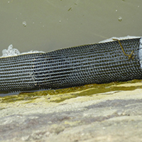 Les pêches traditionnelles en Basse-Loire aval