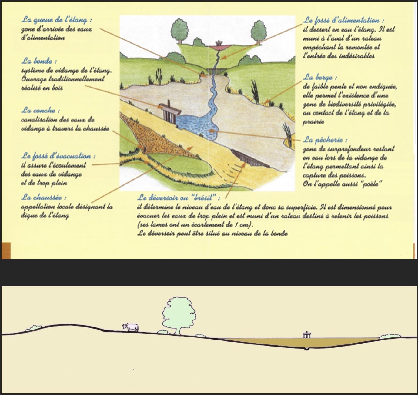Illustrations du principe d'implantation d'un étang