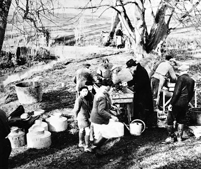 Les savoirs, savoir-faire et pratiques sociales liées à la pisciculture dans les étangs de la Brenne