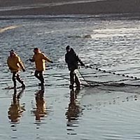 Les savoirs, savoir-faire et pratiques sociales liées à la pisciculture dans les étangs de la Brenne