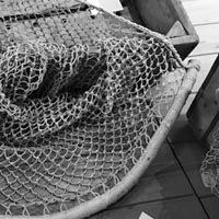 Les savoirs, savoir-faire et pratiques sociales liées à la pisciculture dans les étangs de la Brenne