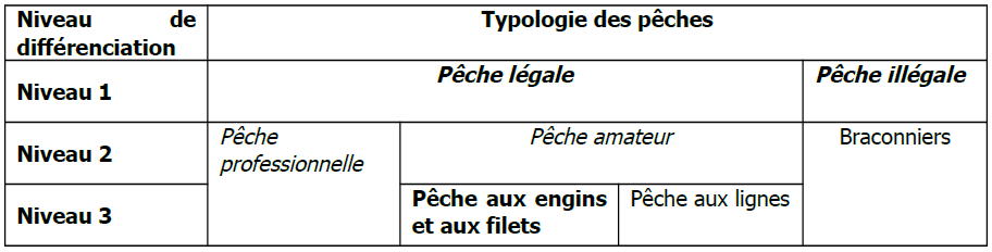 Tableau : Actuelle catégorisation réglementaire des pêcheurs sur le Domaine public fluvial, issue de la Loi "pêche" de 1984