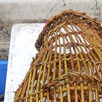 Les pratiques traditionnelles des pêcheurs aux engins et aux filets de Loire-Atlantique