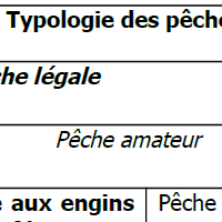 Les pratiques traditionnelles des pêcheurs aux engins et aux filets de Loire-Atlantique