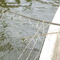 Les pratiques traditionnelles des pêcheurs aux engins et aux filets de Loire-Atlantique