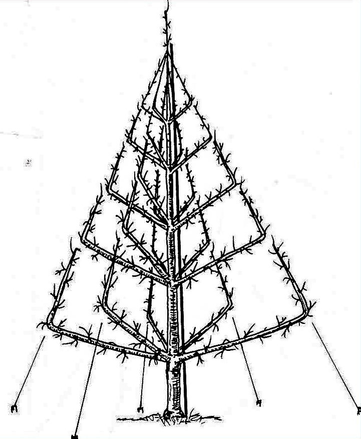 Pyramide ailée, dessin de Jacques Beccaletto, 2010
