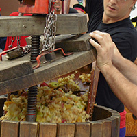 Les pratiques sociales et culturelles des Confréries oenogastronomiques en France