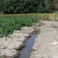 L'irrigation traditionnelle gravitaire par canaux en France