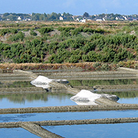 Paludiers et savoir-faire paludiers en presqu'île de Guérande