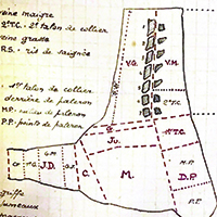 Les savoir-faire de la découpe bouchère à la française